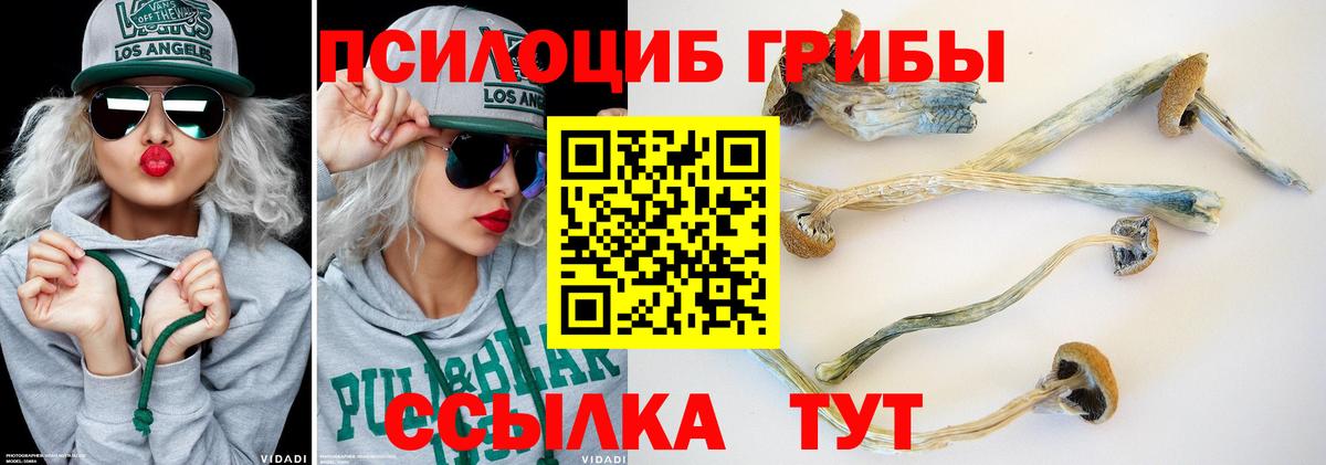 Псилоцибиновые грибы ЛСД Прокопьевск