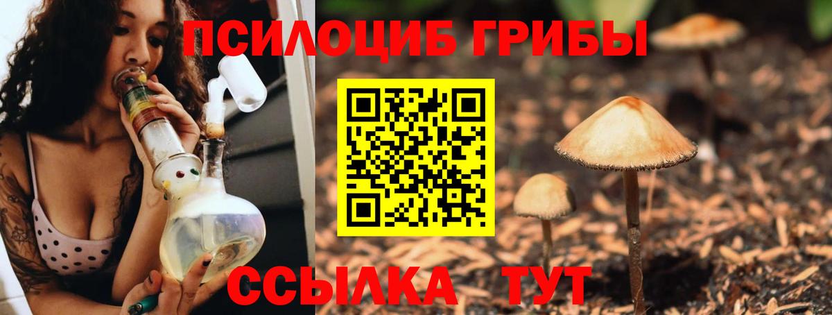 Прокопьевск  Галлюциногенные грибы MAGIC MUSHROOMS  Вход с VPN 